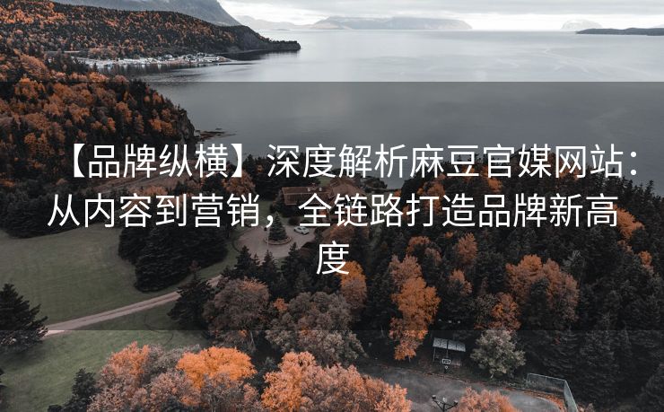 【品牌纵横】深度解析麻豆官媒网站：从内容到营销，全链路打造品牌新高度