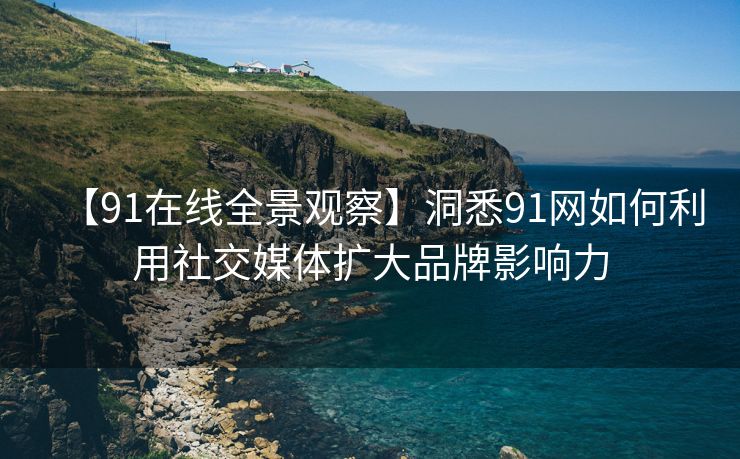【91在线全景观察】洞悉91网如何利用社交媒体扩大品牌影响力