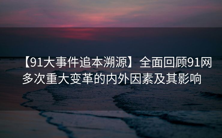 【91大事件追本溯源】全面回顾91网多次重大变革的内外因素及其影响