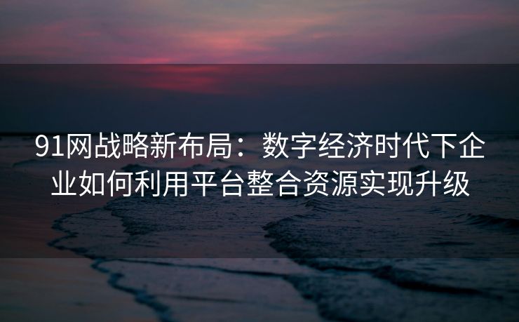 91网战略新布局:数字经济时代下企业如何利用平台整合资源实现升级 91网战略新布局:数字经济时代下企业如何利用平台整合资源实现升级